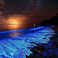 original sound - 4uzoiivse