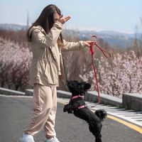 kinolog_elenailinykh