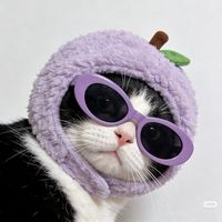 im.theprintt