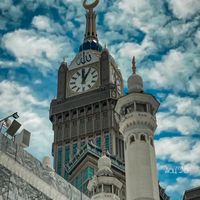 mafya4774