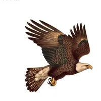 original sound - mudassir.king.01