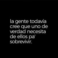 sofiramirez266