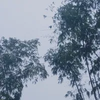 người yêu ơi anh muốn