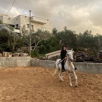 adelhujere