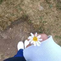 bry.673