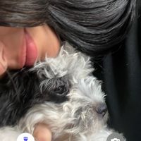 zjuliana__