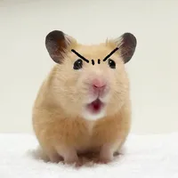 original sound - _hpoa