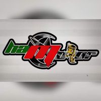 hammotor_1