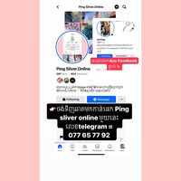 ping_silver