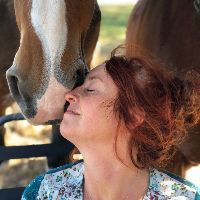 heartofthehorseaustralia