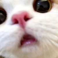 オリジナル楽曲 - ︎︎⟡.·