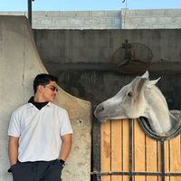 3bzz_j