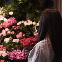 hana.uranai2