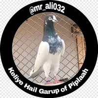 original sound - mr_ali032