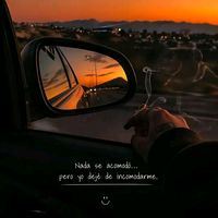 lauramorales559