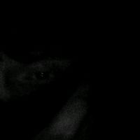 _leosix77