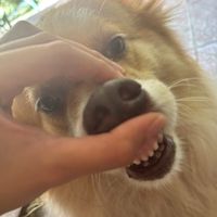 miumiu.24o