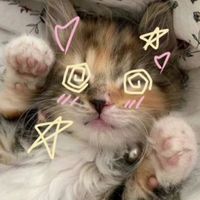 pekksidj