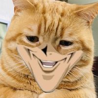 monsto002