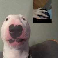 เสียงต้นฉบับ - มีเพียงหยดน้ําตา😑