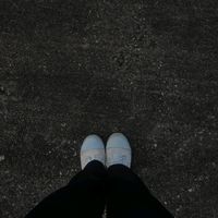 .ano260