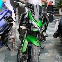 tub28866188
