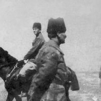 panturkistalper