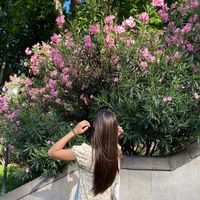 mariam_toshkhua