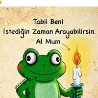 orijinal ses
