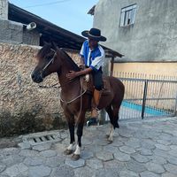 donodooveiro