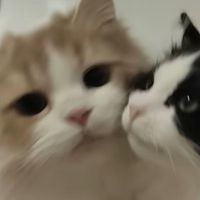 7nxiz_
