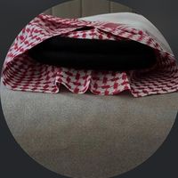الصوت الأصلي