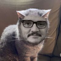 pascalranges