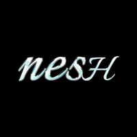 neshthewizard