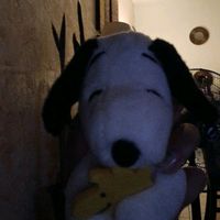 angeluvxz.finds