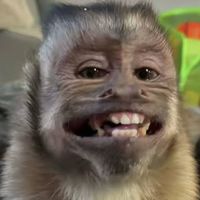 chetesgabi30