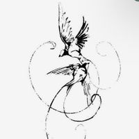 ii_8in