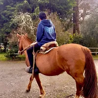 original sound - mora.lxzv