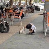 เสียงต้นฉบับ - trying