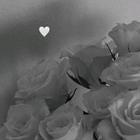 miss_maftuna7331