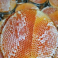 original sound - hamzaasinb