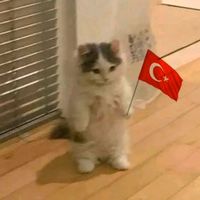 mafyahikayeleri010
