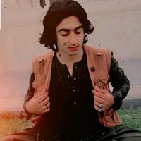 arman.jani5