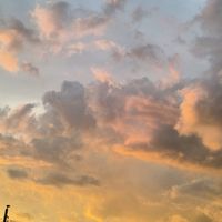 pattttapp