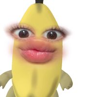fateshaaa