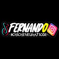 fernandochicheneumaticos