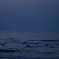 ozu_4