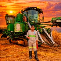 mauricioferreira1991