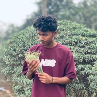 limon_malik