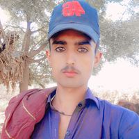 dilshaid550